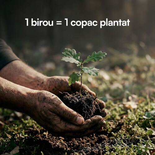 foto72.jpg
