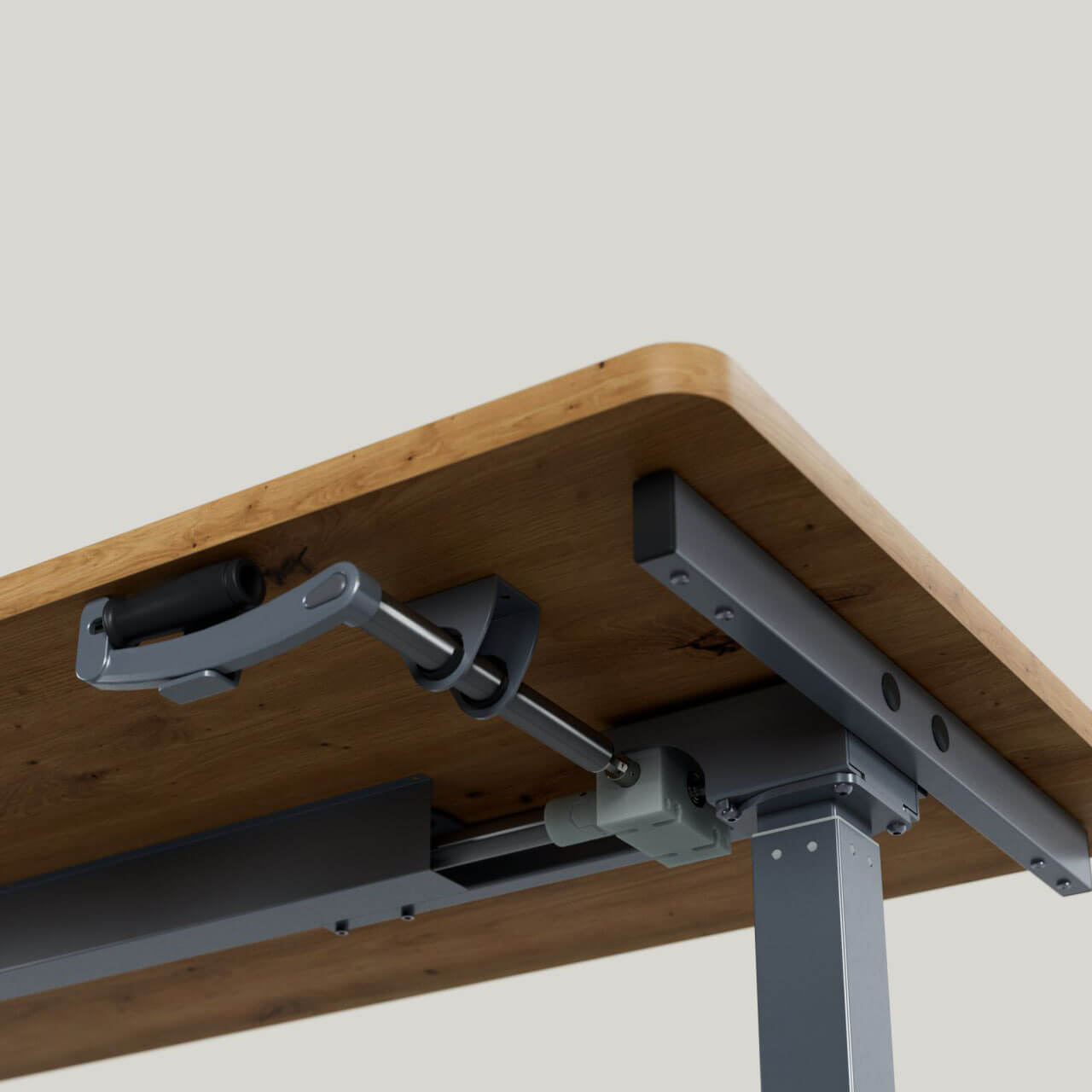 foto36.jpg